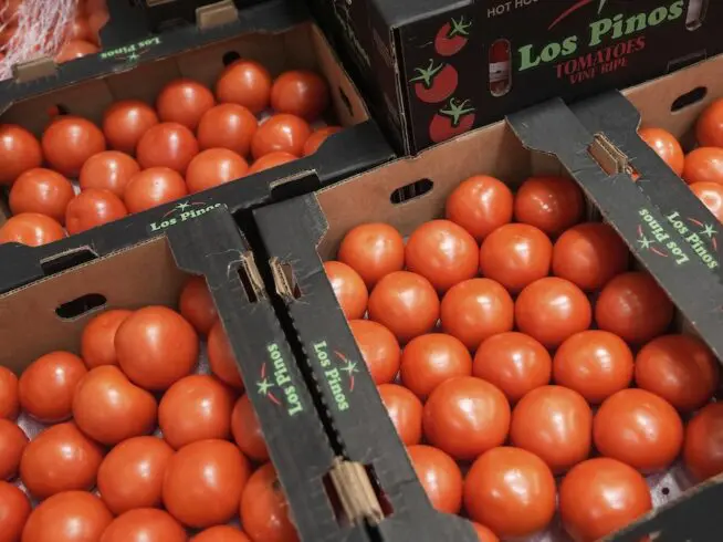 Tomatoes at food pantry