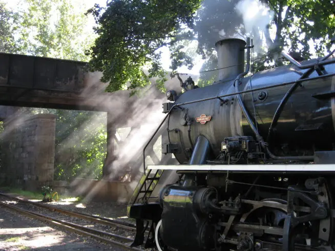 A train on the Delaware River Railroad Excursions.